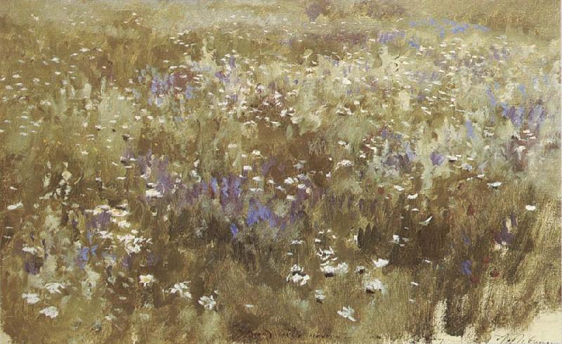 Levitan, Isaak Bluhende meadow china oil painting image